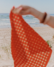 Gingham Picnic Set Bundle